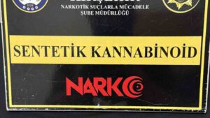 Narkotik operasyonunda 2 şüpheli tutuklandı
