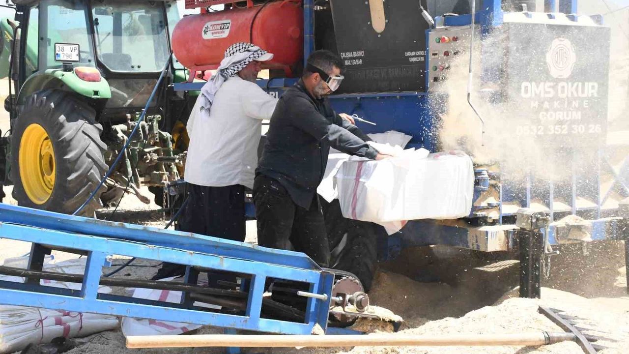 yozgat’ta-saman-mesaisi:-tozun-icinde-ekmek-mucadelesi