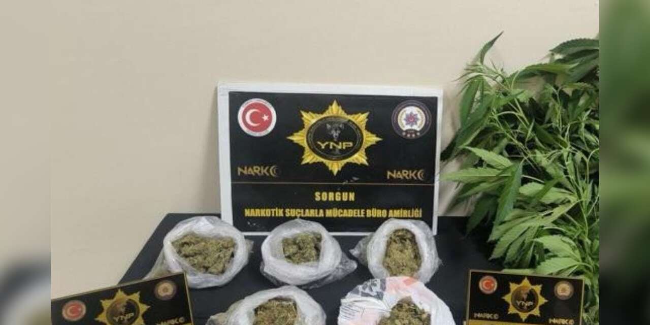 yozgat’ta-257-gram-esrar-ve-13-kok-hint-keneviri-ele-gecirildi