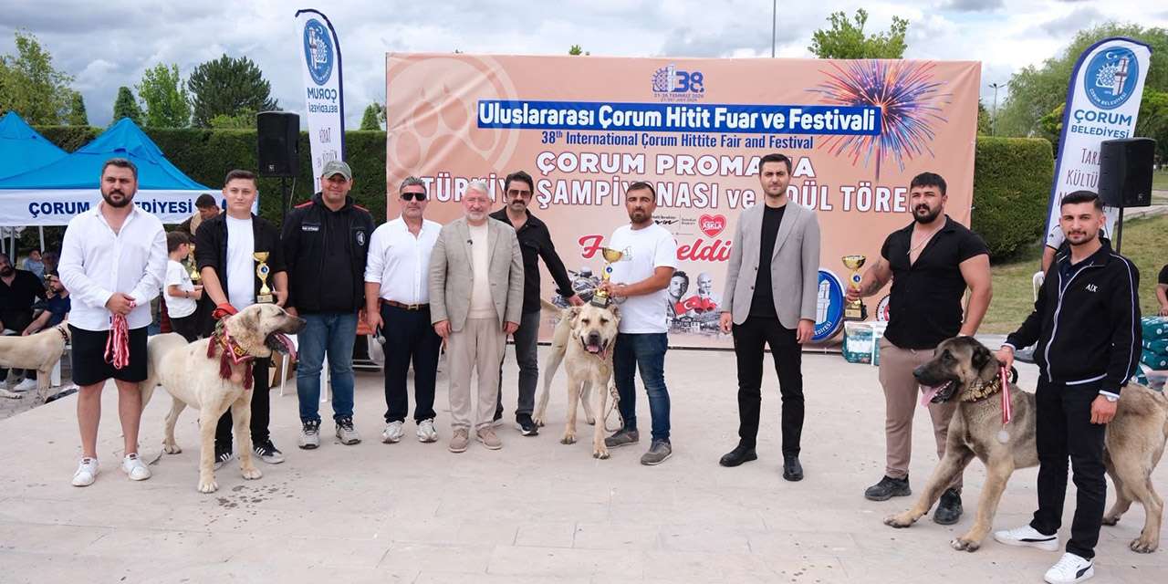 corum’daki-dev-sampiyonaya-kirikkale-damgasi:-yerli-irklar-buyuk-final-icin-yaristi