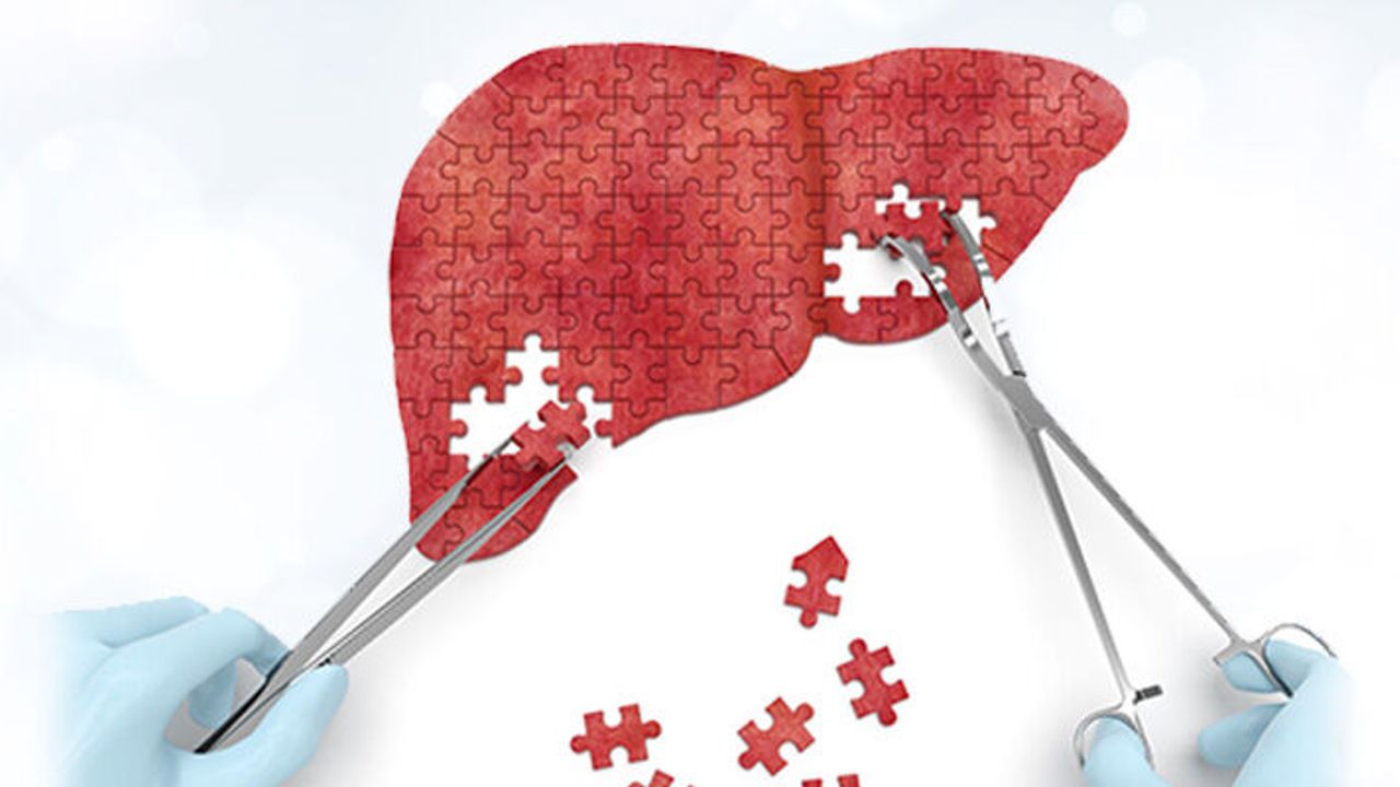 hepatitte-erken-tani-hayat-kurtariyor