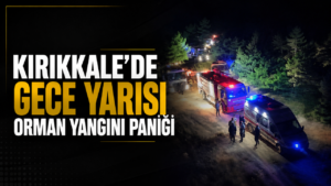 Kuşun Çarptığı Hat Yangına Neden Oldu İddiası