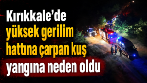 Kırıkkale’de yüksek gerilim hattına çarpan kuş yangına neden oldu