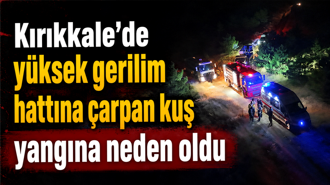 kirikkale’de-yuksek-gerilim-hattina-carpan-kus-yangina-neden-oldu