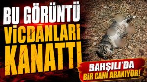 İlçe Girişindeki Görüntü Vicdanları Yaraladı