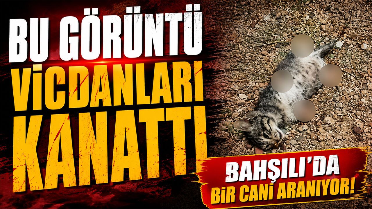 ilce-girisindeki-goruntu-vicdanlari-yaraladi
