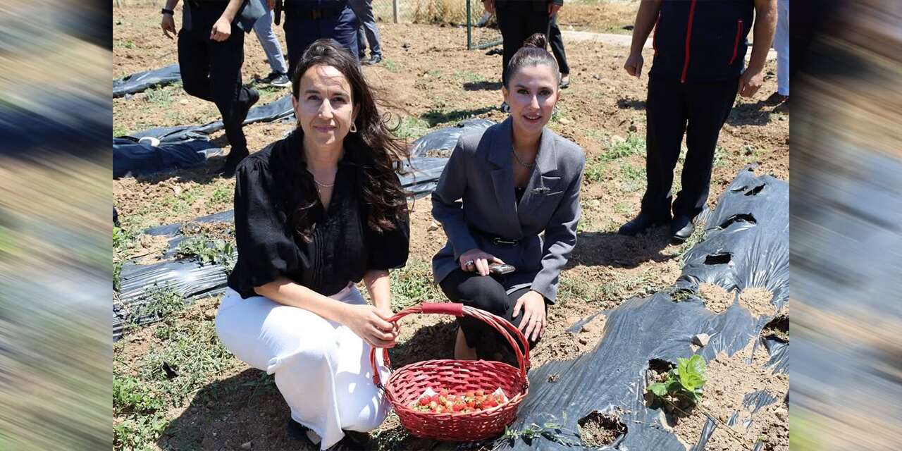 kadin-ureticilere-tam-destek:-lavanta-ve-cilek-ektiler