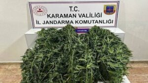Jandarmanın yakaladığı 44 şahıstan 9’u tutuklandı