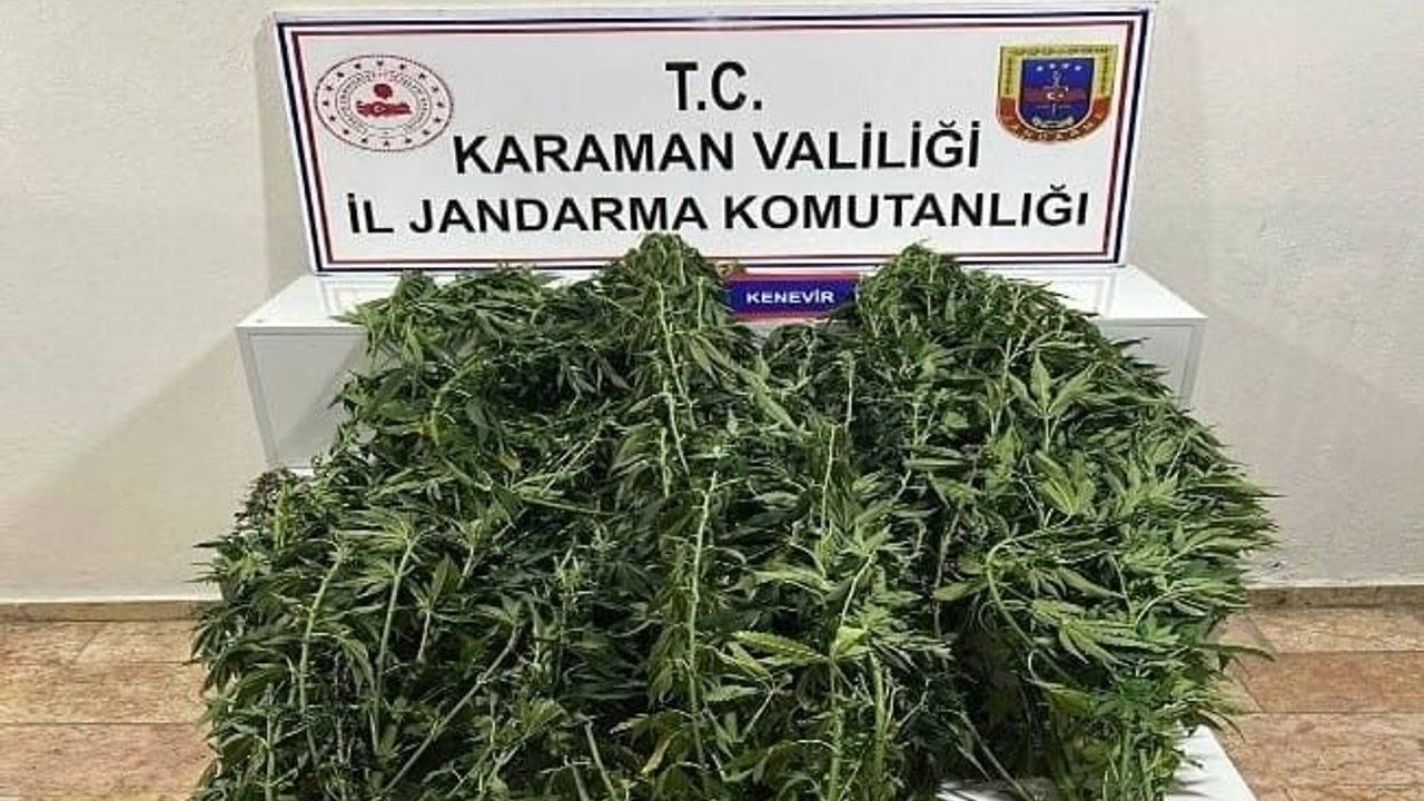 jandarmanin-yakaladigi-44-sahistan-9’u-tutuklandi