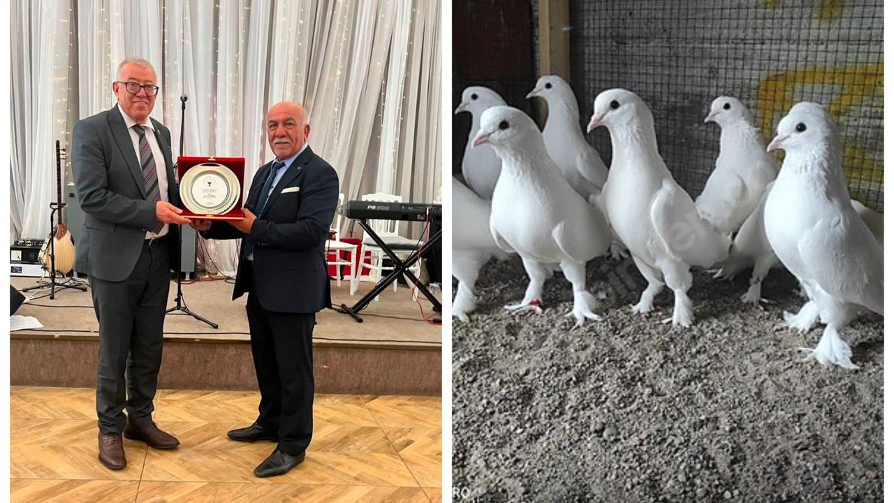 guvercin-severler-kirikkale’de-bulustu