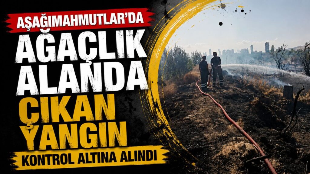 asagimahmutlar’da-agaclik-alanda-cikan-yangin-kontrol-altina-alindi