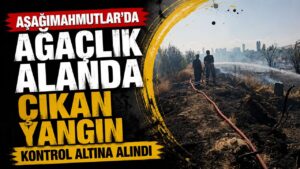 Aşağımahmutlar’da ağaçlık alanda çıkan yangın kontrol altına alındı