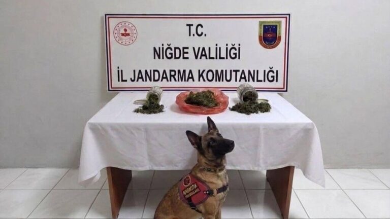 Narkotik operasyonu: 2 şüpheliye işlem yapıldı